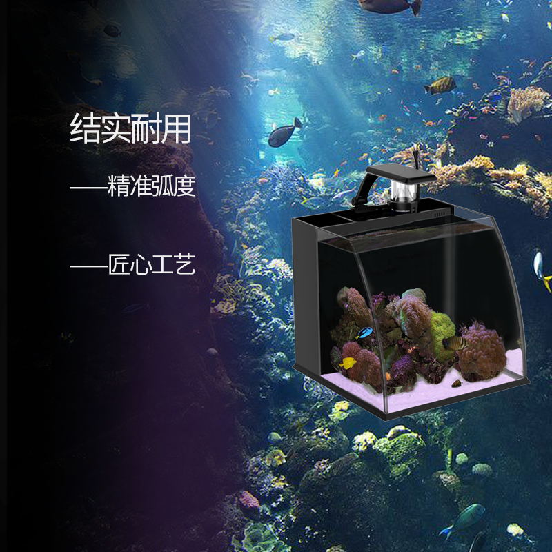 大肚子桌面客箱海水缸族套热弯海水鱼缸水全厅蛋分珊瑚海鱼小丑鱼