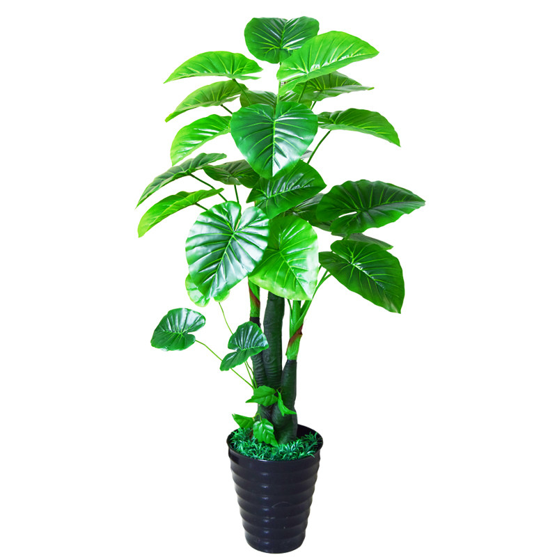滴水观音花仿花艺绿植仿真塑料花仿真花假真树假绿植装饰仿真室内