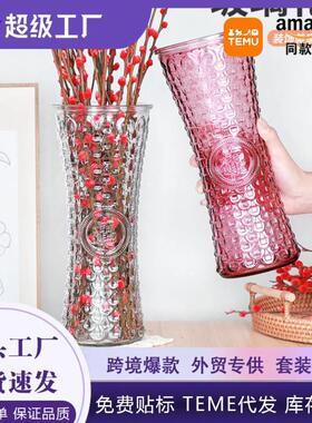现代简约特大号红色花瓶 ins风插花鲜花干花加厚玻璃花瓶客厅摆件