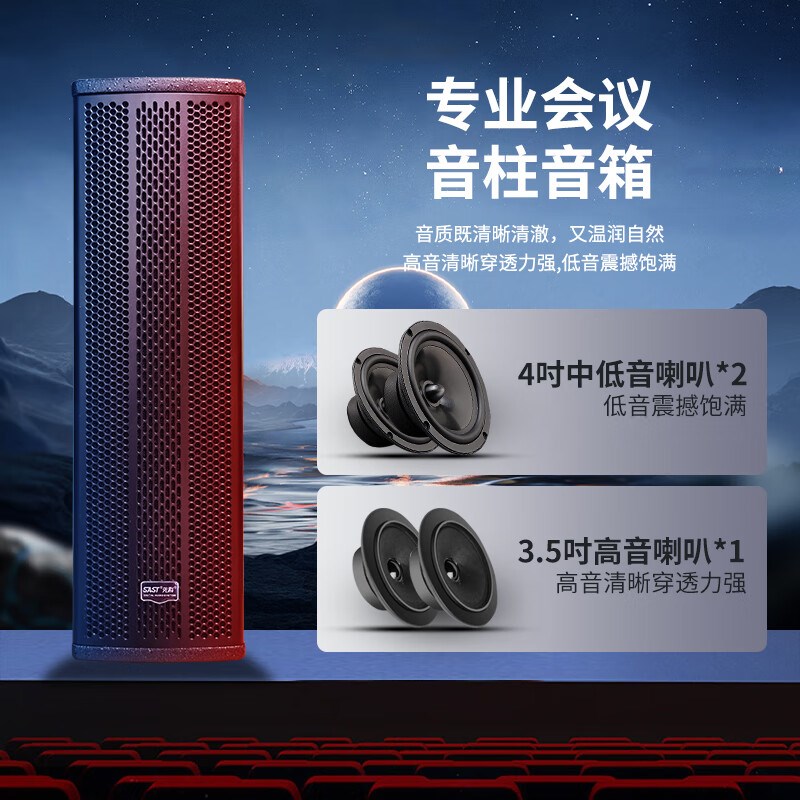 业科(SAST)专先会议室音响套装组合家庭KTV背景音乐培训VD201