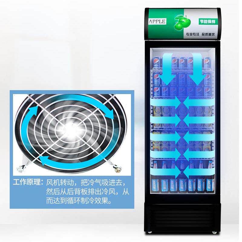 冷藏展示柜 便利店饮料冷藏柜立式冰箱商用展示柜 单双门啤酒柜