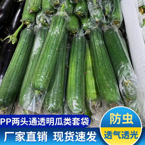 套瓜袋水瓜套袋丝瓜套袋菜瓜苦瓜透明套袋水瓜农用防虫保护透明袋