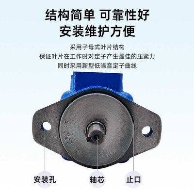叶片YYB-E160高压油泵泵B-E200/E16/E20/E32/E45/E50/E63/E80