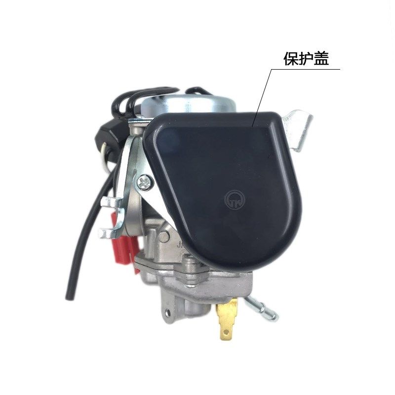 适用韵彩1SQ0油T-A/B化0器丽彩QS125T-2B睿彩QS125T-4B国三化油器