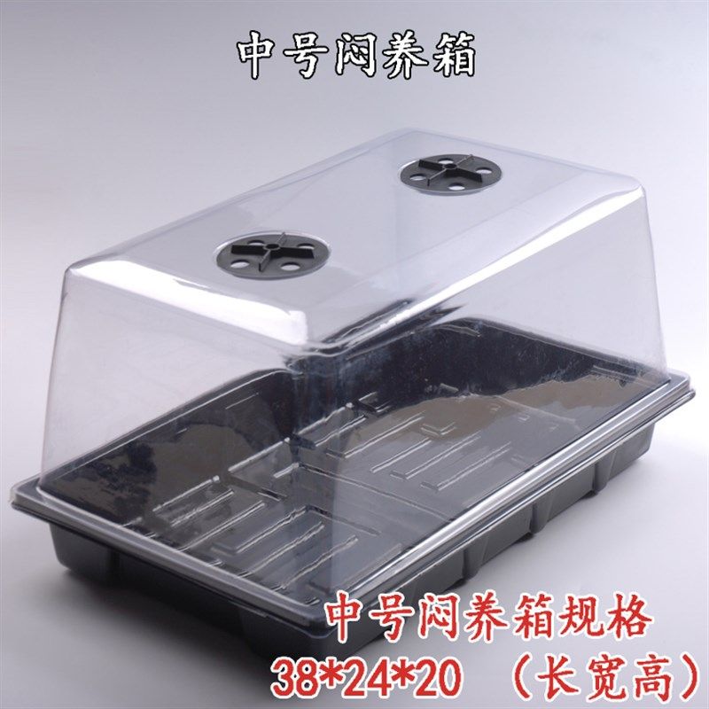 多肉菌二卷育苗盒发芽闷养卉蔬菜花箱阳台十种种植保温保湿周转箱