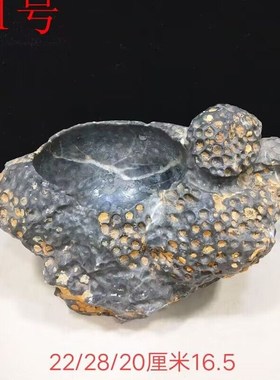 精品天 珊瑚虫化石小鱼缸然烟灰缸花小 盆 聚宝盆 奇石玉石摆件