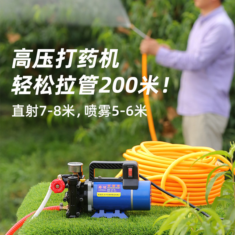 农用12v高压水泵洗车水自泵吸泵高压打药机双打柱塞缸果园水泵