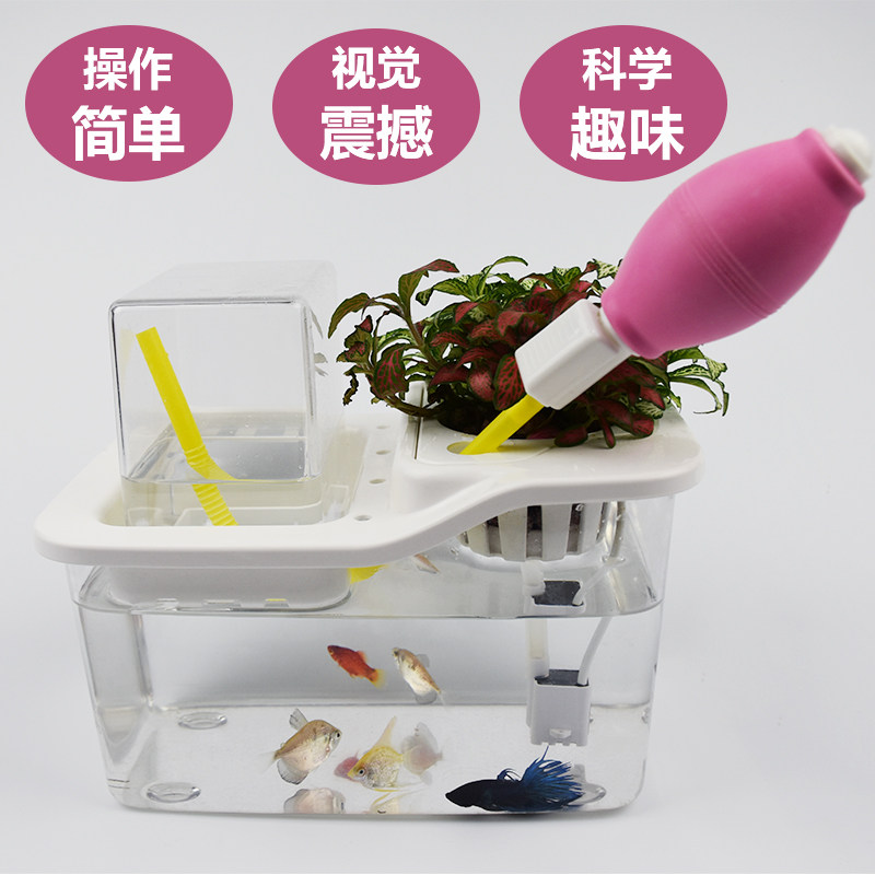 鱼缸套餐斗鱼小型装饰创意办公桌面懒人免换水生态鱼菜共生系统