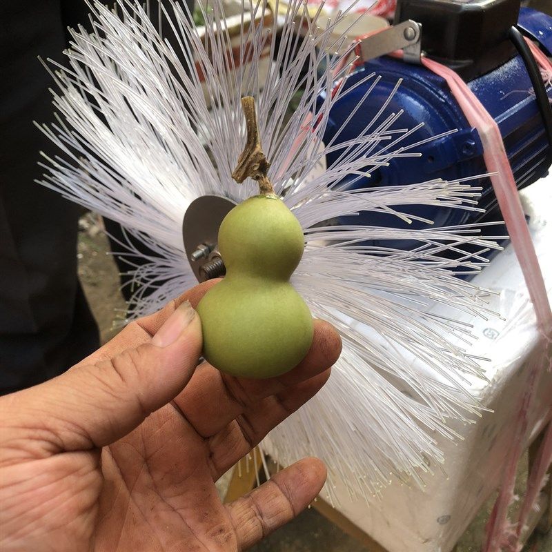 葫芦打皮塑料刷大葫芦去皮机文玩手捻把玩小葫芦去皮尼龙刷刮皮