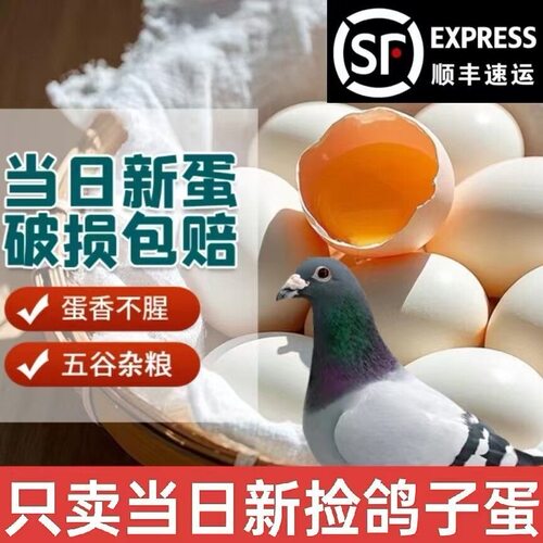 【顺丰发货】鸽子蛋新鲜白信鸽初生蛋农家五谷杂粮散养30枚正宗