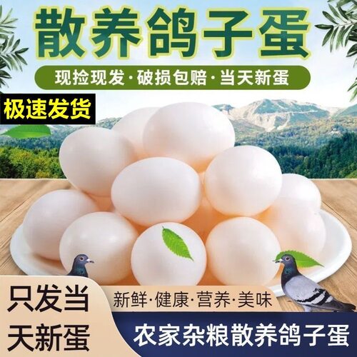 顺丰到家】正宗沂蒙鸽子蛋新鲜农家散养五谷杂粮喂养信鸽孕妇宝宝