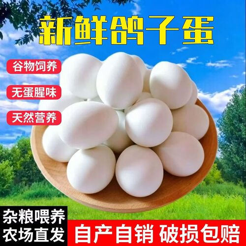 【顺丰到家】正宗新鲜鸽子蛋农场散养大个信鸽蛋五谷喂养白鸽蛋