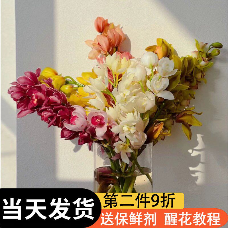 大花蕙兰鲜切花带花苞办公室客厅摆件室内水培惠兰年宵花送礼佳品