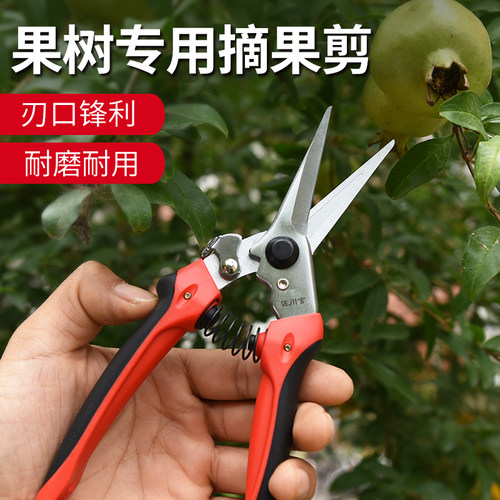 稀果剪佐川吉782直口手剪修枝剪摘果叶芽剪子花枝园艺剪刀邮