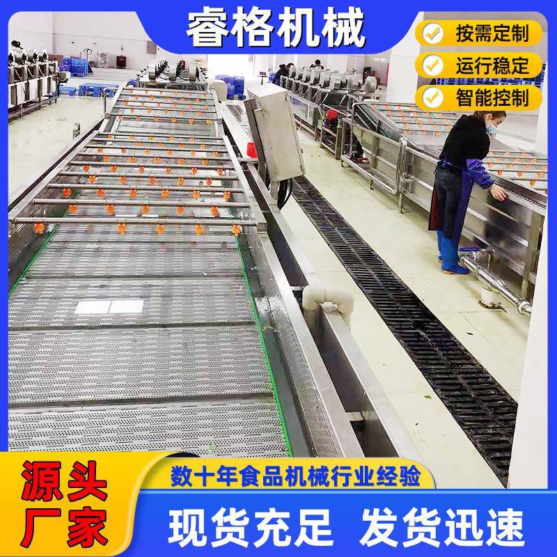 多功能果蔬清洗机厂家供应喷淋式果蔬清洗设备蓝莓气泡清洗机