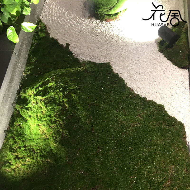 花舍优质仿真绿植草皮微景观草坪场景橱窗假苔藓青苔包造景套装
