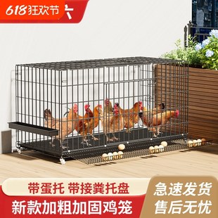 鸡笼子家用养殖笼下蛋养鸡笼自动滚蛋大号特大号鸡窝鸡舍折叠鸡笼