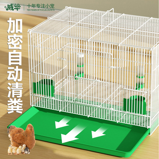 大号加密家养鸡笼子家用小鸡笼芦丁鸡饲养箱鹌鹑室内鸭笼自动清粪