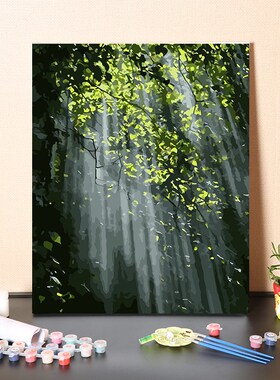 数字油画diy手工填充森林一道光线阳光客厅卧室手绘涂色油彩画画