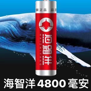 18650锂电池4800毫安海智洋看戏机唱戏机收音机充电电池大容量3.7