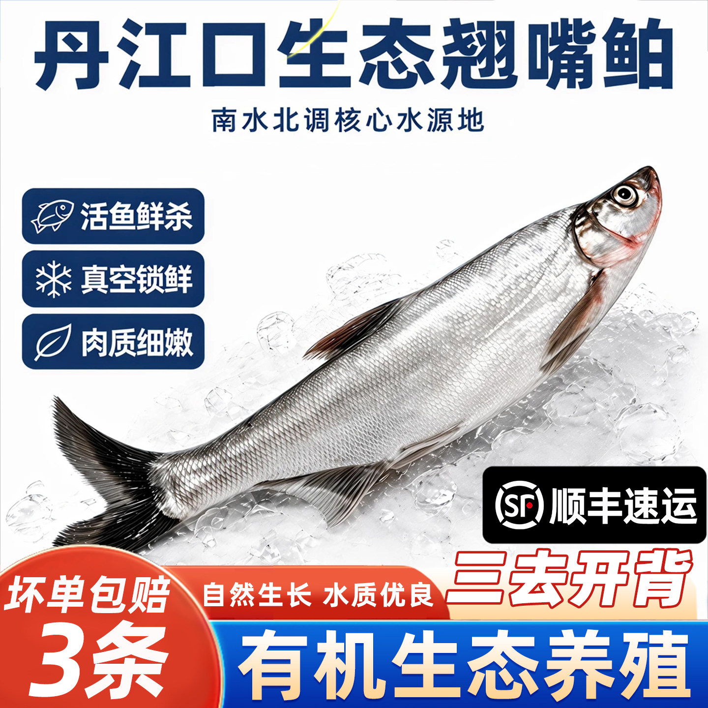 水都翘嘴鲌三去净膛翘嘴白大白刁