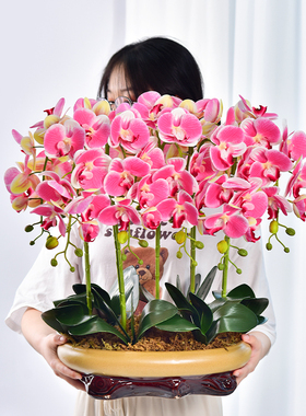 保湿手感蝴蝶兰假花仿真花摆设客厅前台装饰花高端大花束餐桌摆件