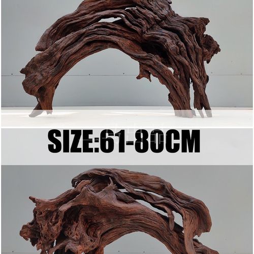 二马61-80cm精品鱼缸造景沉木树森林 沉木大号大型 免煮 拱桥形