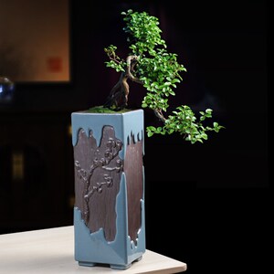 哥窑花盆高档陶瓷高款紫砂特大号古典室内兰花老桩飘枝造景观盆