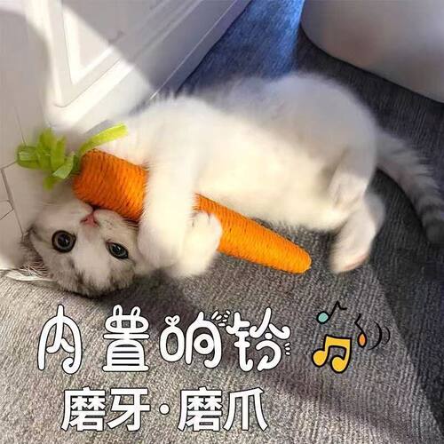 猫咪胡萝卜玩具内置响声幼猫自嗨解闷神器耐磨宠物磨牙棒跨境批发