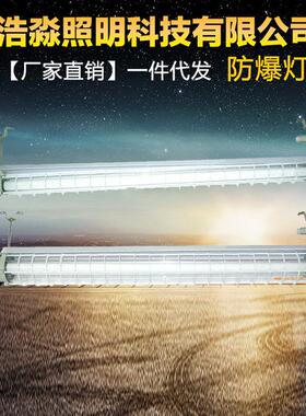 1*18W 2*18WLED防爆洁净荧光灯防爆日光灯双管防爆照明灯量大优惠