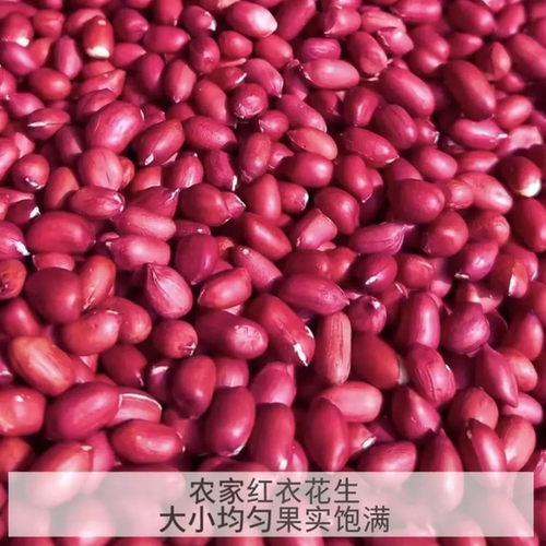 山东红皮花生米农家四粒红红衣花生米子无壳袋装坚果新货生花生仁