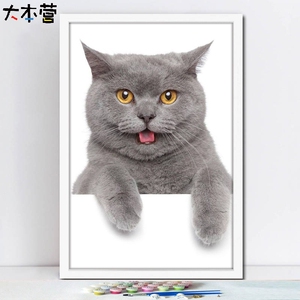 大本营 萌宠猫咪蓝猫diy数字油画手绘装饰画数字油画创意礼品定制