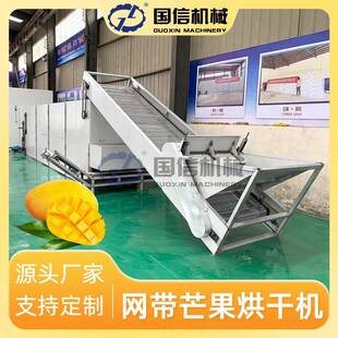 鹰嘴芒贵妃芒履带式烘干机凯特芒小台芒烘干机网带芒果干烘干机