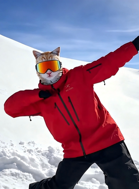 雪场回头率天花板！宠物猫狗头套