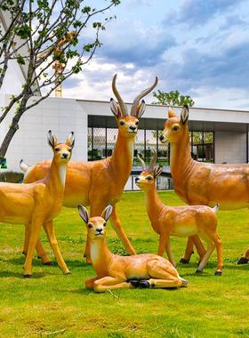 户外园林庭院雕塑小区草坪景观装饰动物玻璃钢藏羚羊园区美陈小品