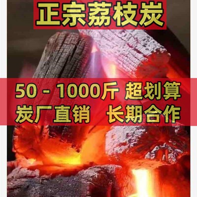 取暖无烟环保无烟烧烤炭高温耐烧木碳易燃果木炭木炭烧烤木炭