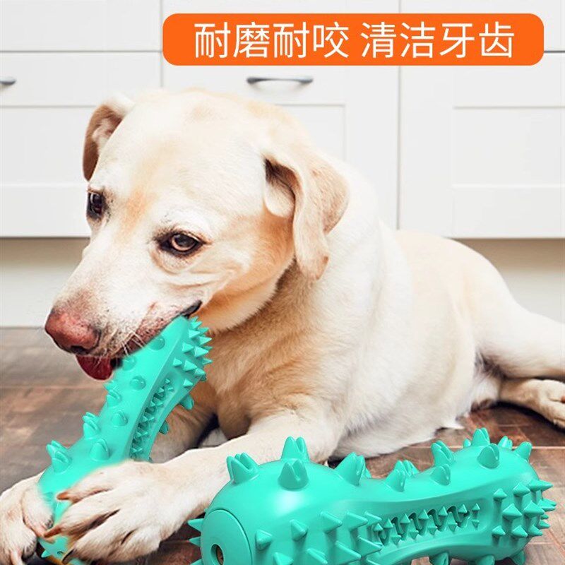 QZee洁齿磨牙棒狗玩具耐咬发声按摩小中大型犬金毛萨摩刷牙吸盘球