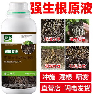 硕丰收生根液生根壮苗剂果树蔬菜栽育苗强发根壮根提苗剂叶面肥