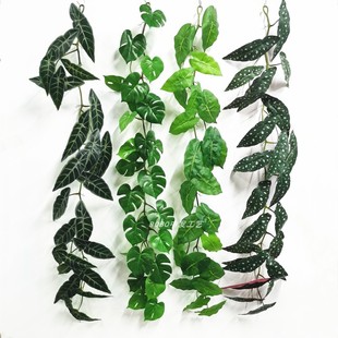质感藤条仿真绿植管道缠绕壁挂吊兰垂吊蕨类墙壁门头吊顶装 饰蕨叶