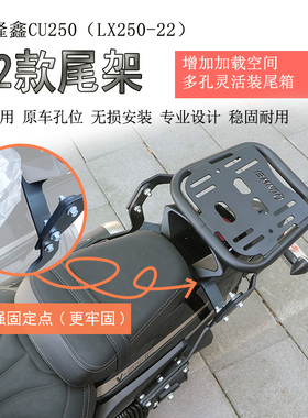 适用无极CU250后货架尾箱架尾箱支架LX250-22后靠背腰靠折叠靠背