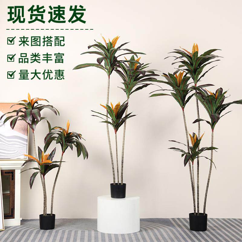 北欧仿真绿植红边铁红巴西铁假植物红铁树家用带盆造景装饰 盆栽