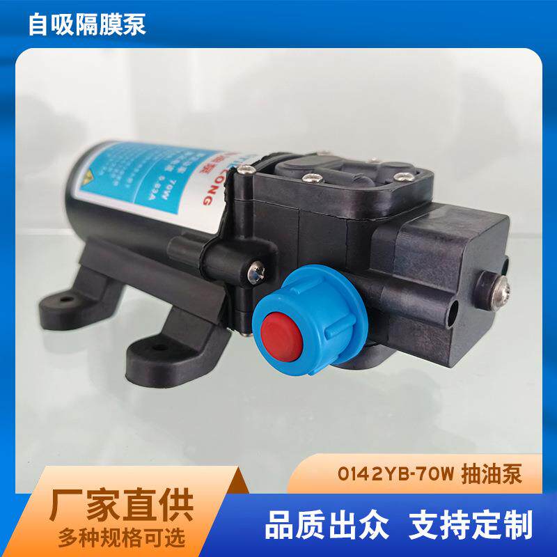 洗铁龙汽油泵抽油器汽车油箱抽油泵 12V70W单油泵自吸隔膜泵