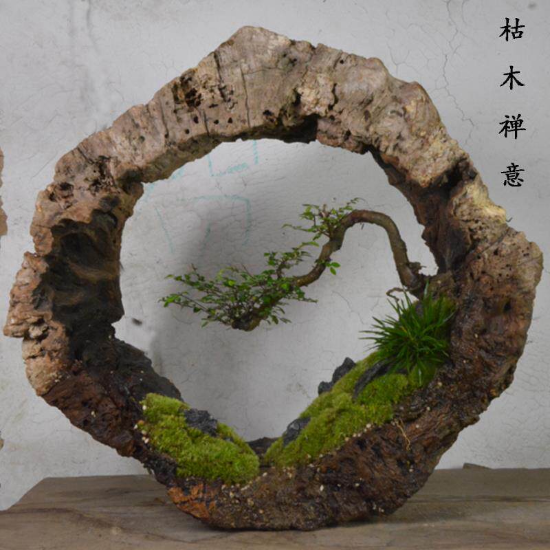文竹青苔花盆菖蒲原木头米竹石斛花盆微景观花盆中式复古做旧花器