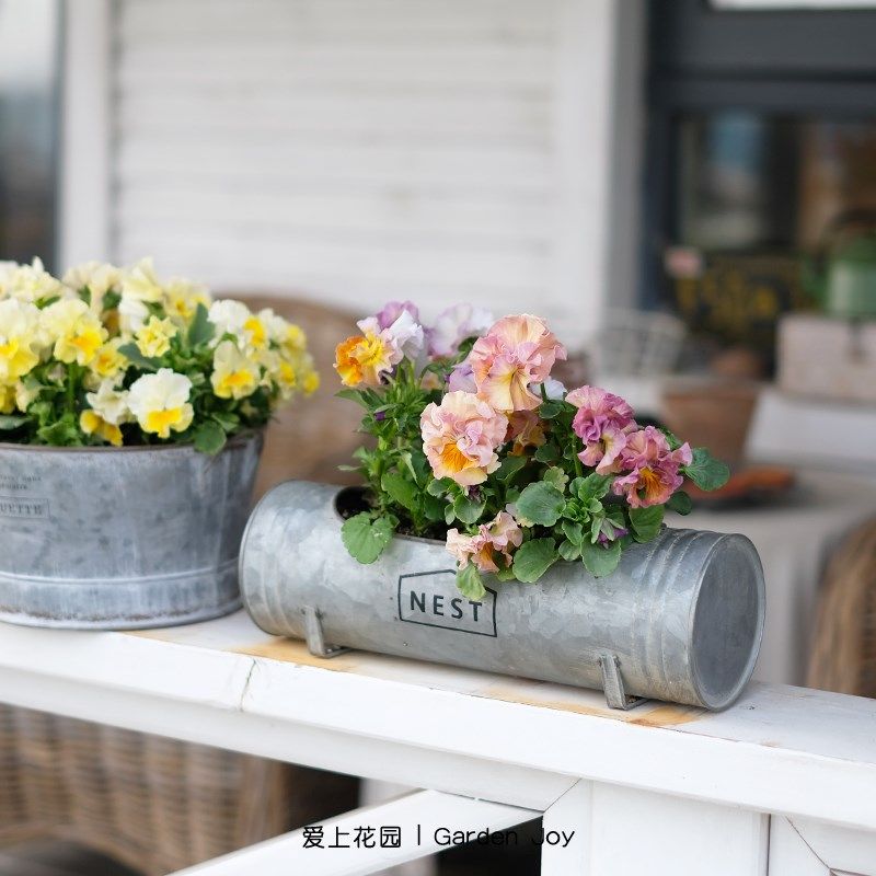 爱上花园 室内阳台装饰铁艺做旧铁皮花盒长圆形邮筒花盆花桶nest,鲜花速递/花卉仿真/绿植园艺,花盆,淘宝优惠券,粉丝福利购,淘宝优惠卷