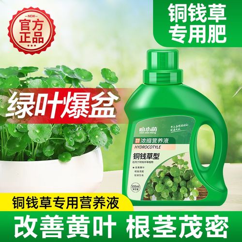 铜钱草营养液专用肥养水培植物肥料水溶肥养花土培金钱草家用盆栽