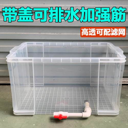生态造景乌龟缸透明带盖长方形养鱼水族箱家用观赏巴西龟龟箱