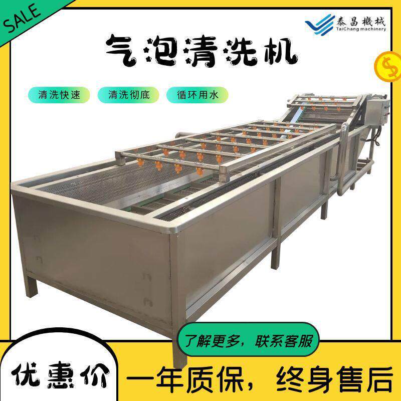 全自动气泡清洗机红枣辣椒果蔬气泡清洗机中草黄芪气泡清洗设备