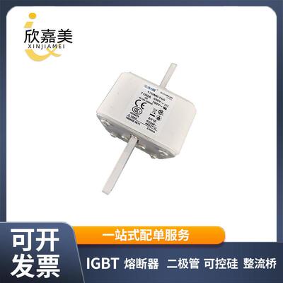 170M6165 170M6166 快速熔断器 保险丝 电子元器件 量大价优