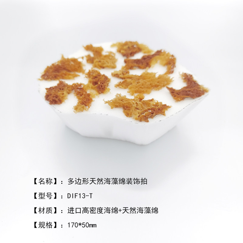 帅宁多边形天然海藻绵装饰拍三色珠光金属漆点拍点彩艺术涂料工具