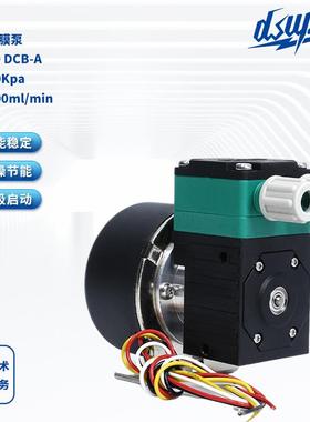 液体隔膜泵DS600 DCB-A微型液体隔膜泵废液采样真空泵12V/24V